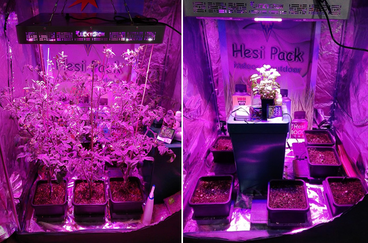 Готовые гроубоксы – выращивание растений: вентиляция, влажность